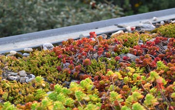 the cost of Tyndrum green roof installation