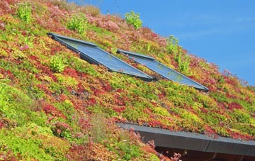 Tyndrum living roof systems